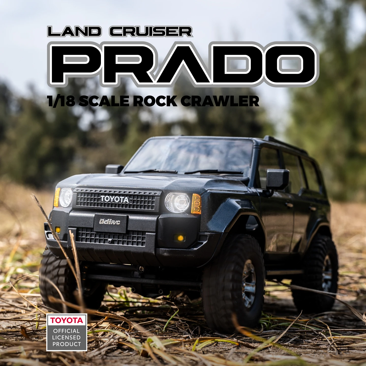 UDIRC 1/18 1/24 Масштабный вне – обзор и цена Rc Hobby Grade Truck